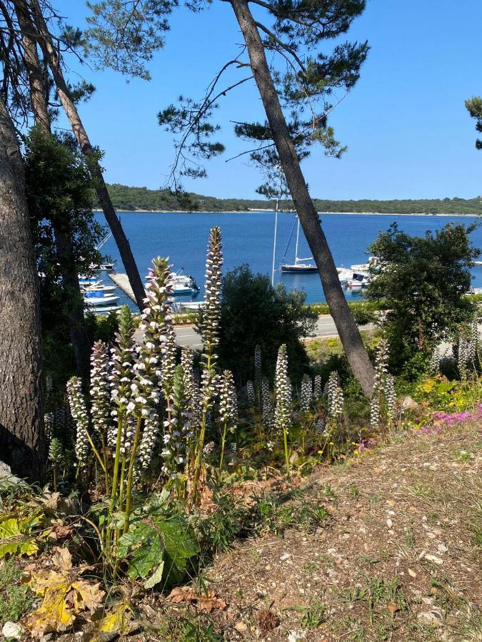 Apartments Tasha Mali Lošinj Extérieur photo